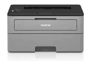 Brother HL-L2350DW