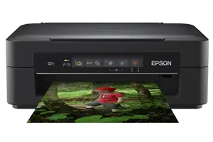 Epson Expression Home XP-255