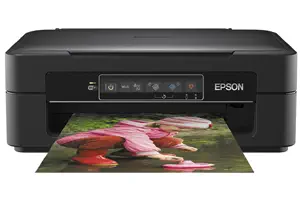 Epson Expression Home XP-245