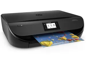 HP Envy 4525 Druckerbild