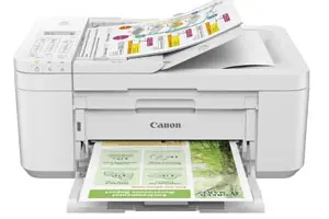 Canon Pixma TR4651 white